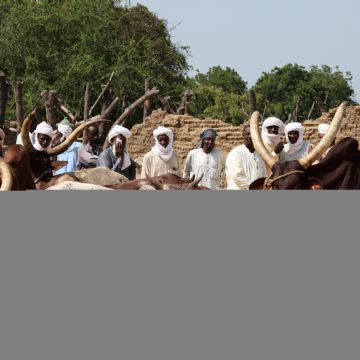 Enfrentamientos entre pastores y campesinos dejan al menos 32 muertos en Chad