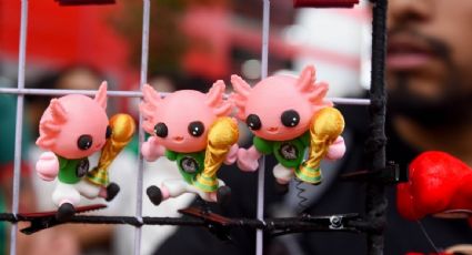 Los ajolotes están en todos lados en la CDMX rumbo al Mundial menos en su hábitat, acusan expertos