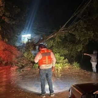 Lluvias provocan derrumbes, inundaciones y daños en varios municipios de Veracruz