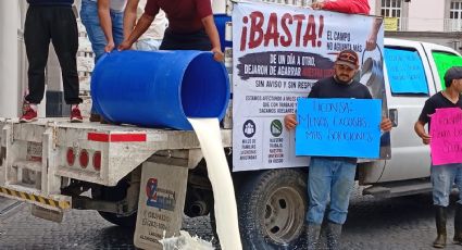 Ganaderos llevan vacas y derraman leche frente al Palacio de Gobierno en Veracruz en protesta contra Nahle y Bienestar
